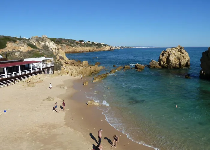 Ana * 阿尔布费拉