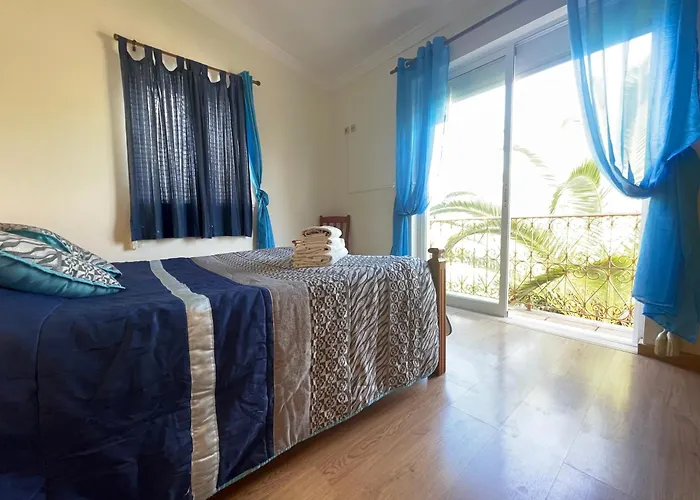 Ana * 阿尔布费拉